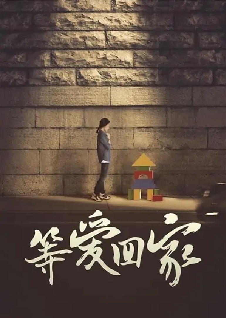 等爱回家 海报 高清在线观看