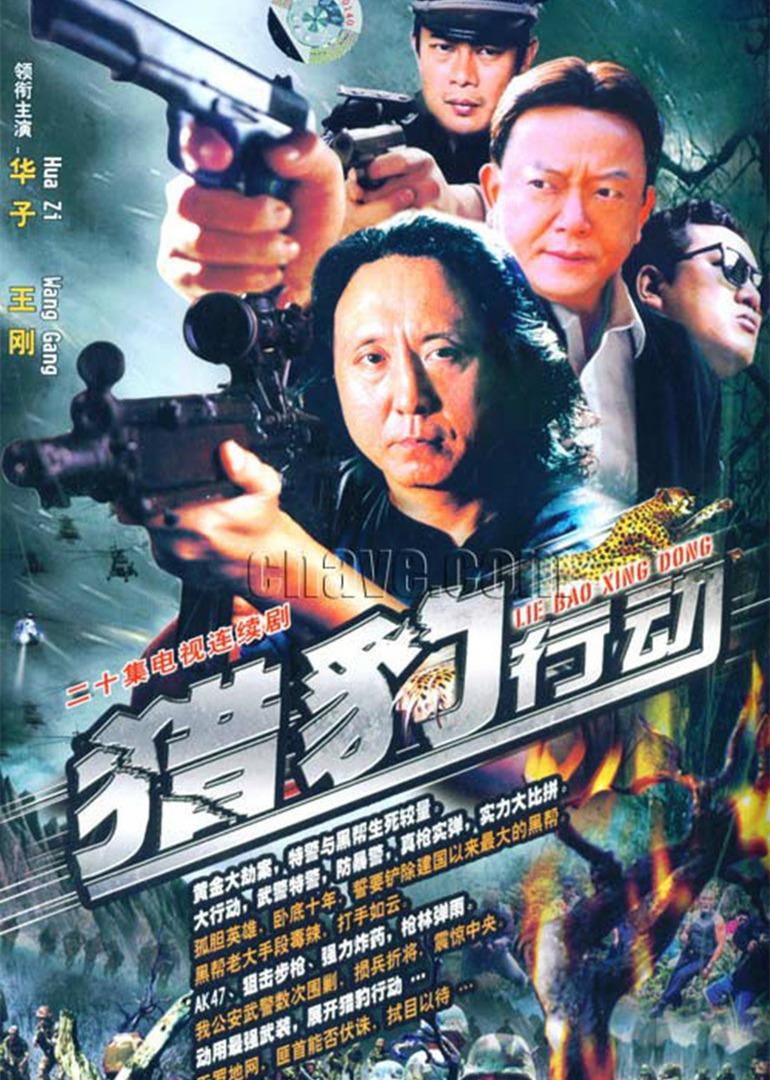 金海岸 海报 高清在线观看