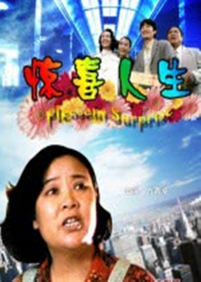 惊喜人生 海报 高清在线观看