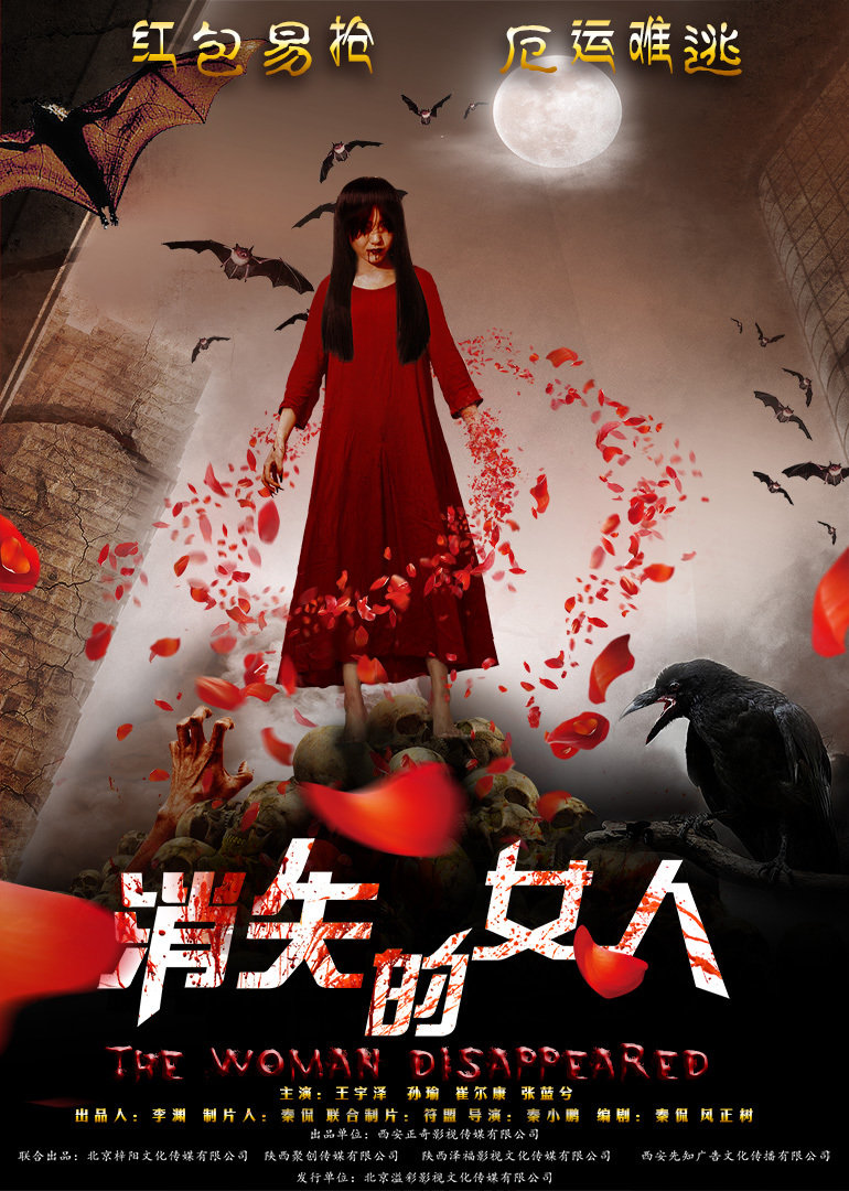 消失的女人 海报 高清在线观看