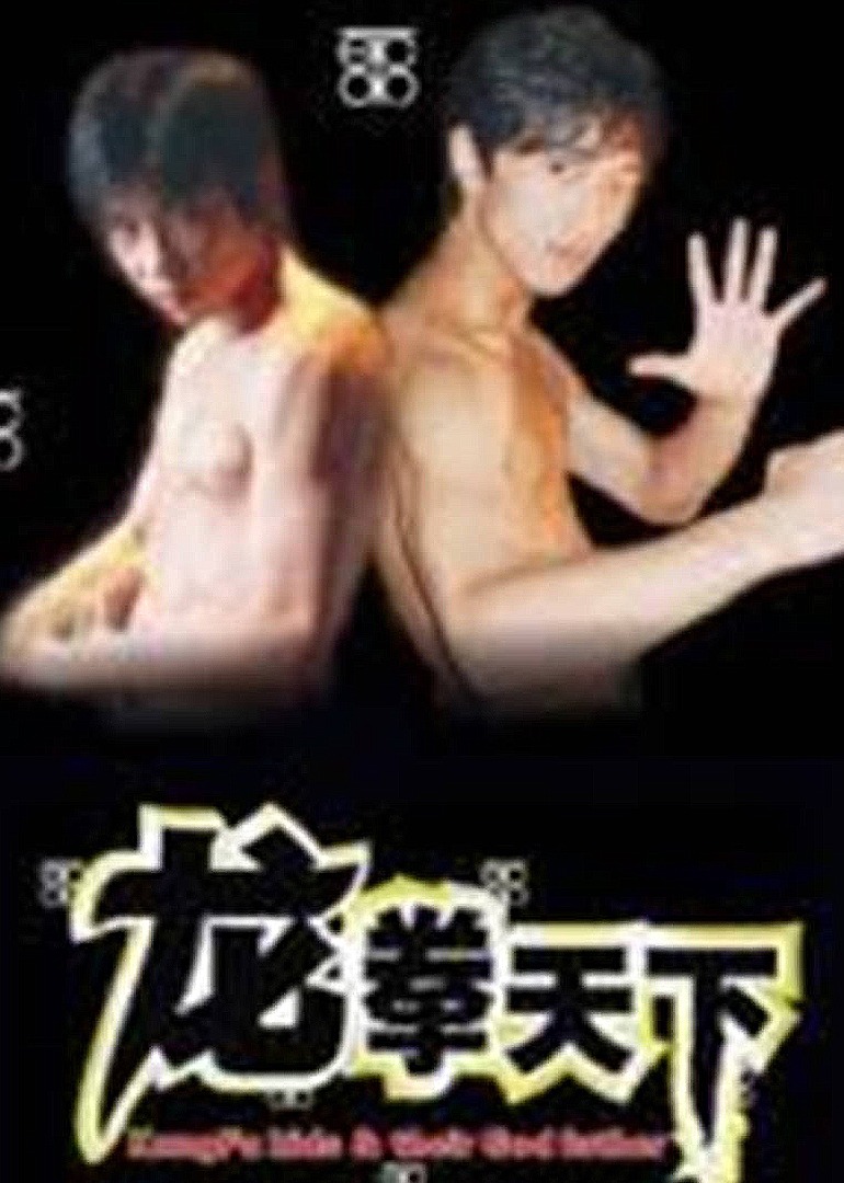 龙拳天下 海报 高清在线观看