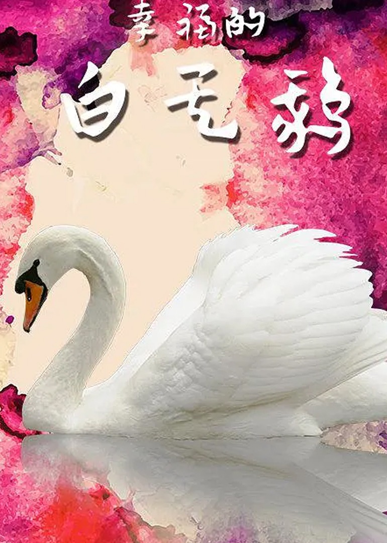 幸福的白天鹅 海报 高清在线观看