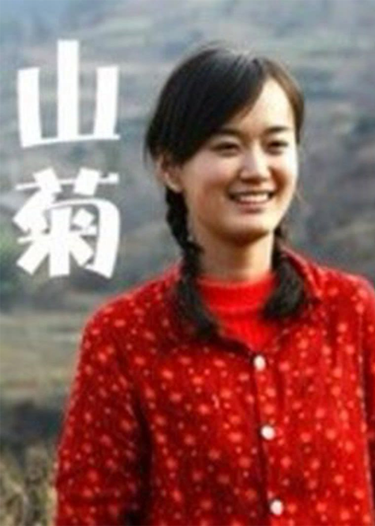 山菊 海报 高清在线观看