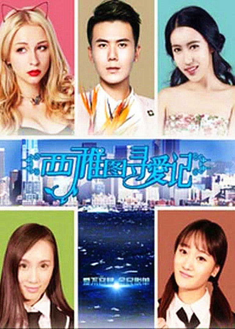 西雅图寻爱记 海报 高清在线观看