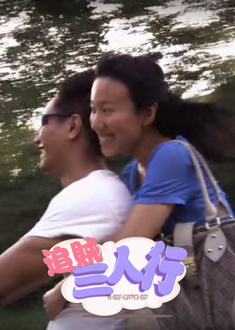 追贼三人行 海报 高清在线观看