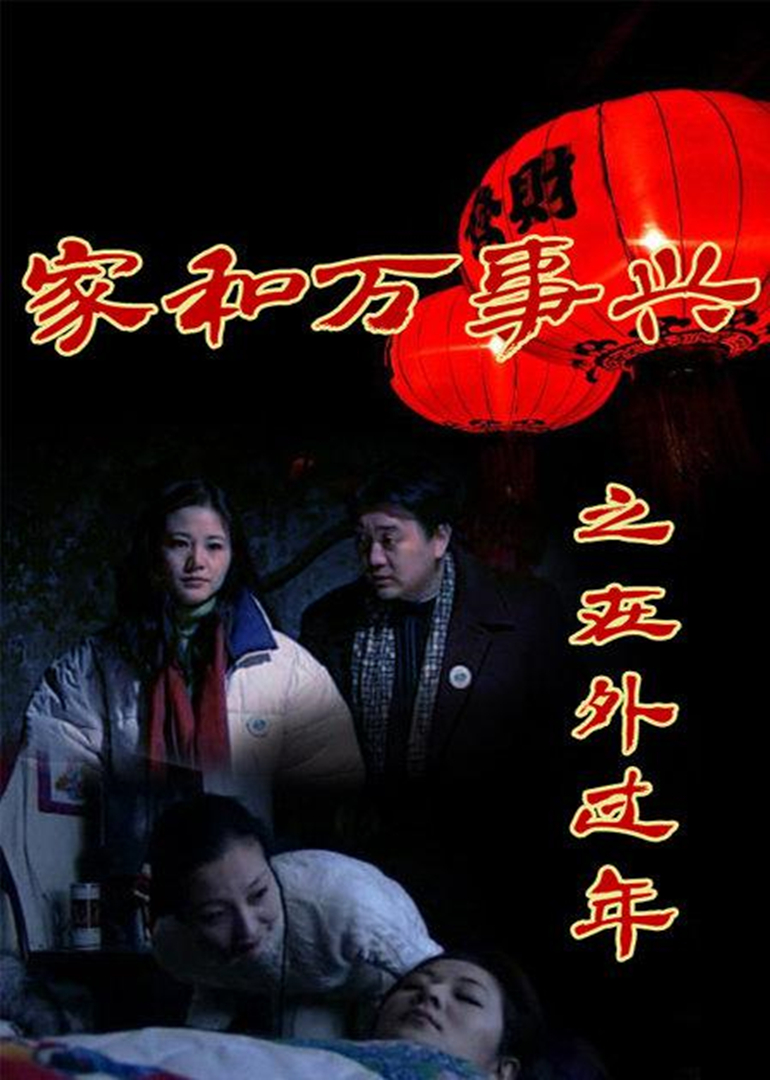 家和万事兴之在外过年 海报 高清在线观看