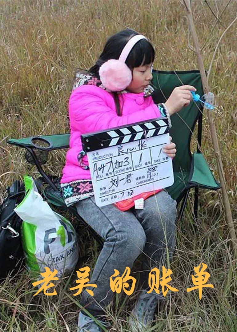 老吴的账单 海报 高清在线观看
