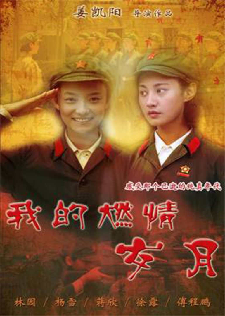 我的燃情岁月 海报 高清在线观看