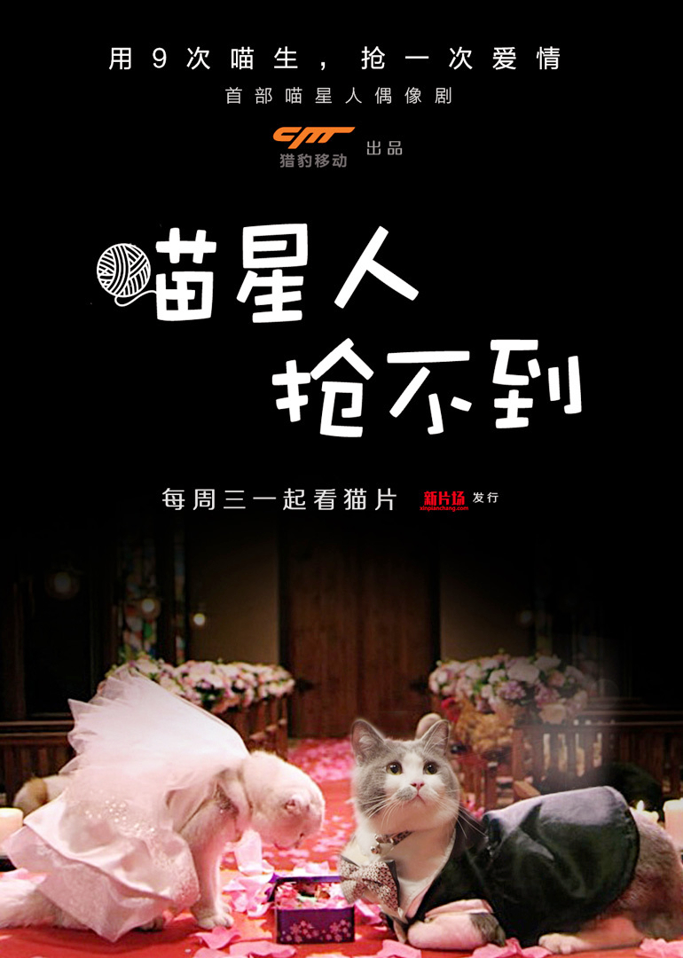 喵星人抢不到 海报 高清在线观看