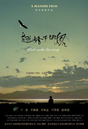 翅膀下的风 海报 高清在线观看