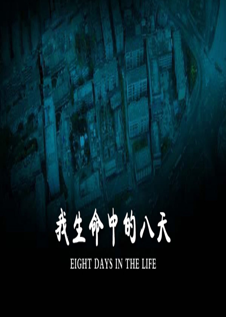 我生命中的八天 海报 高清在线观看