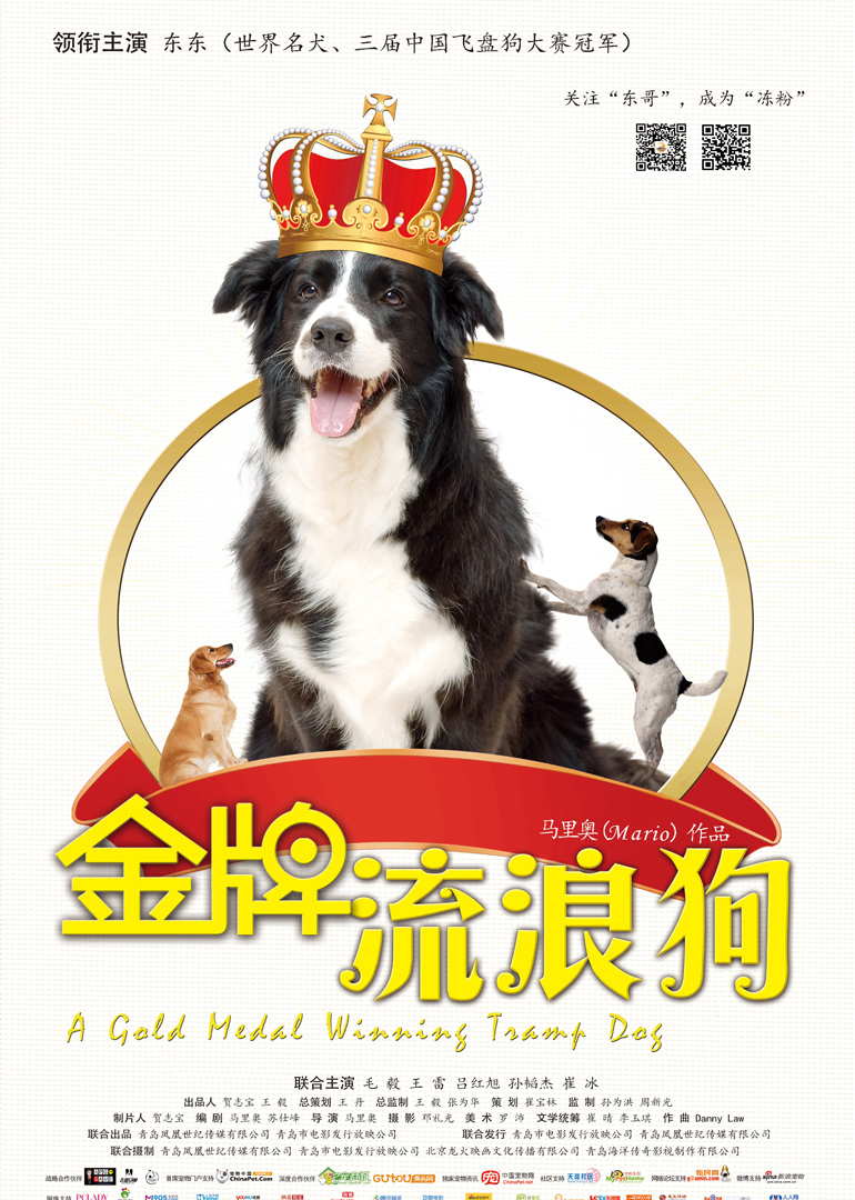 金牌流浪狗 海报 高清在线观看