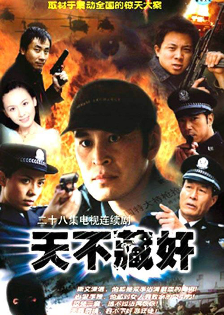 天不藏奸 海报 高清在线观看