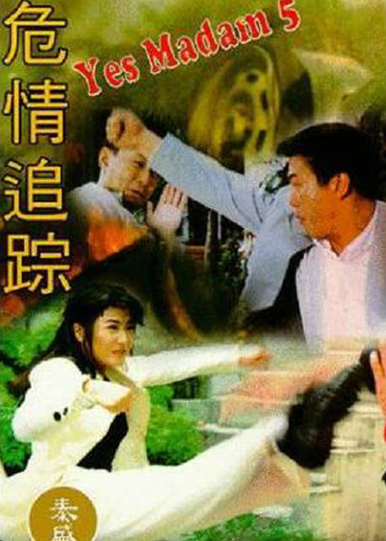 危情追踪 海报 高清在线观看
