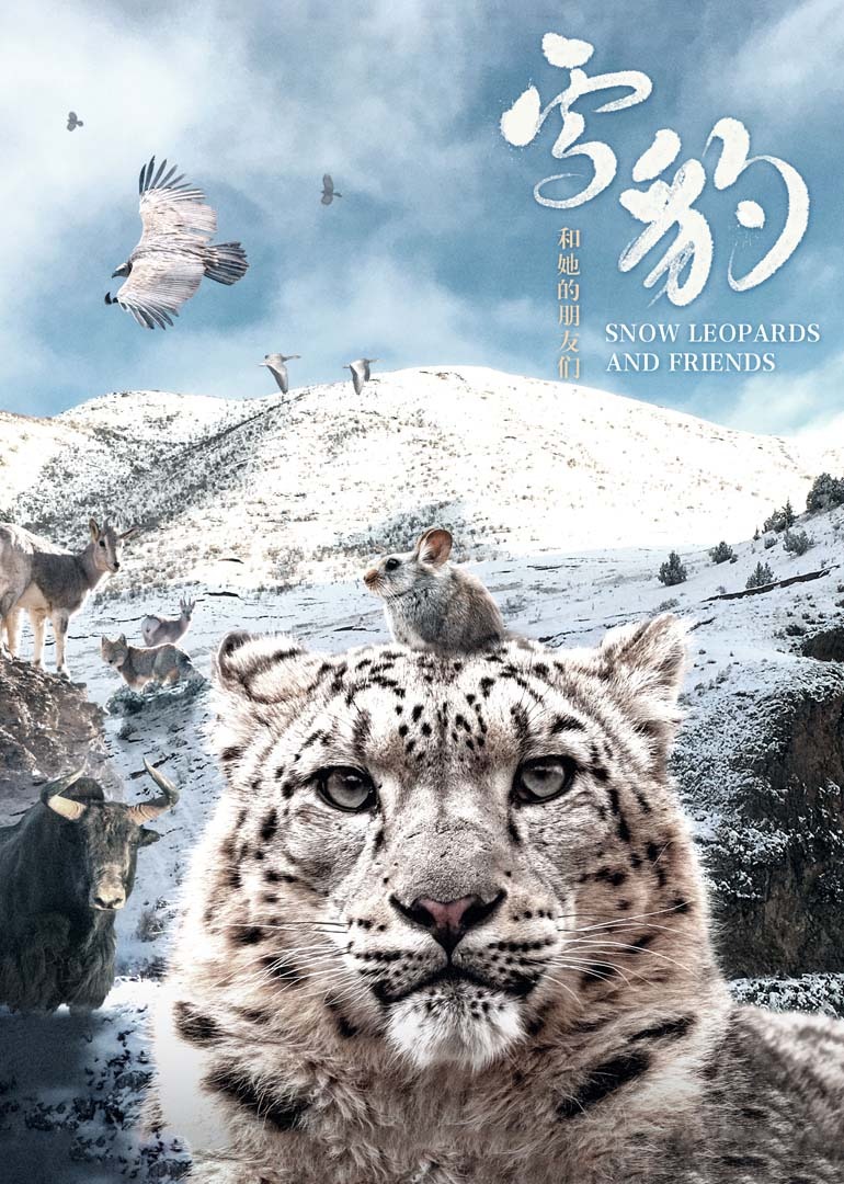 雪豹和她的朋友们 海报 高清在线观看