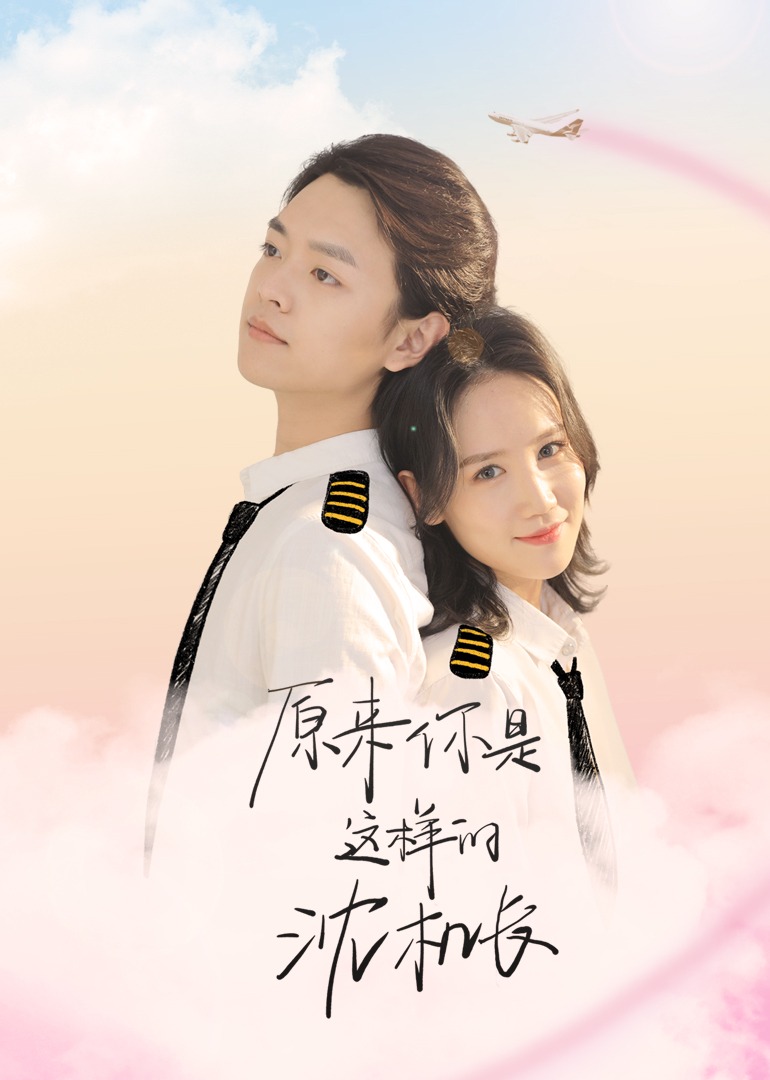 原来你是这样的沈机长 海报 高清在线观看