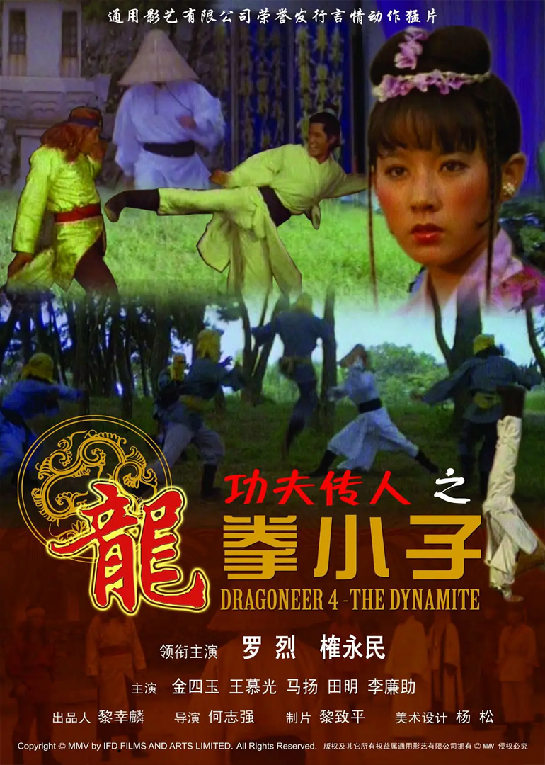 功夫传人之龙拳小子 海报 高清在线观看