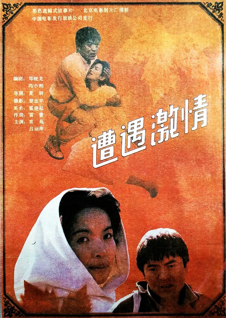 遭遇激情 海报 高清在线观看