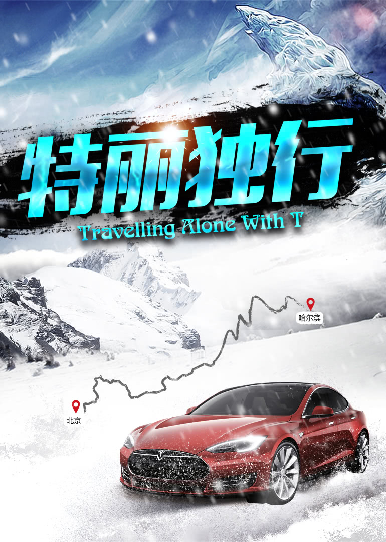 特丽独行 海报 高清在线观看