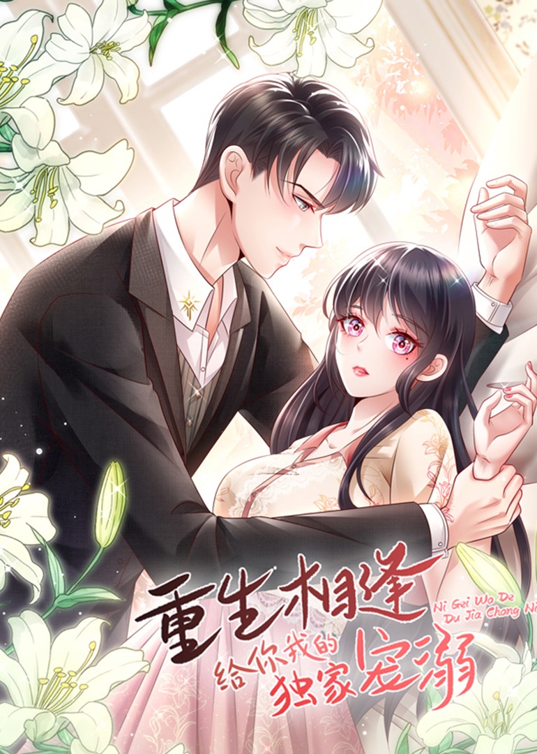 重生相逢：给你我的独家宠溺 海报 高清在线观看