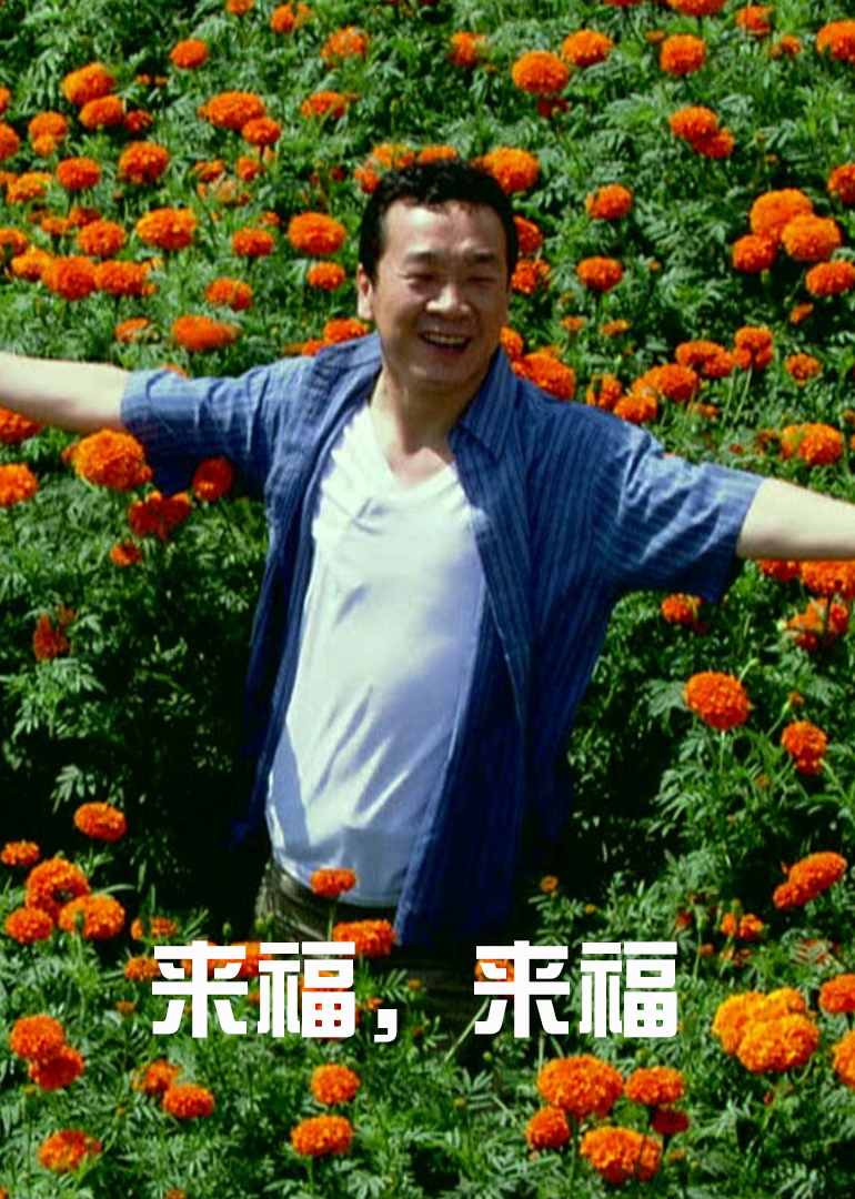 来福,来福 海报 高清在线观看