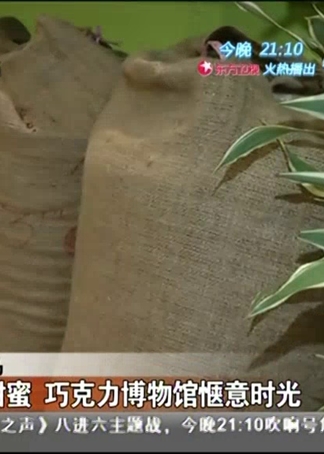 乐活好正点 海报 高清在线观看