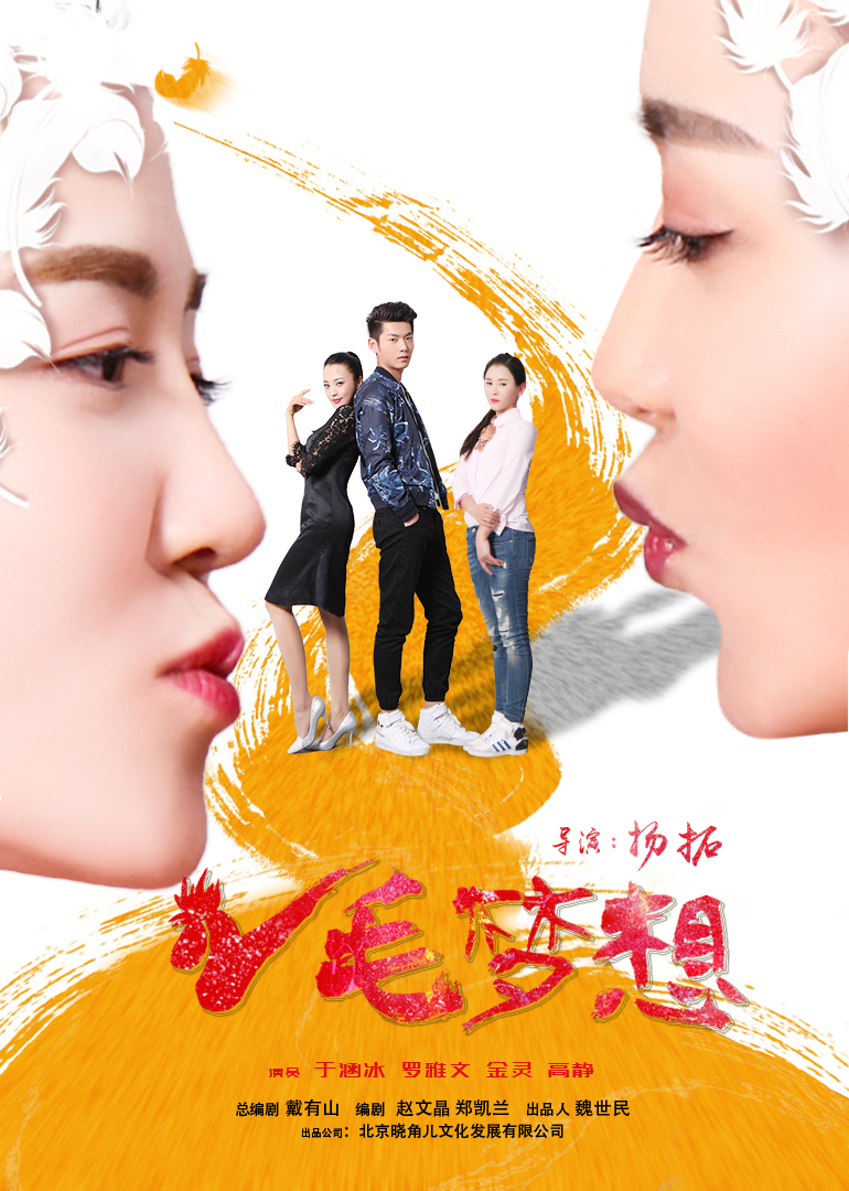 鸡毛梦想 海报 高清在线观看