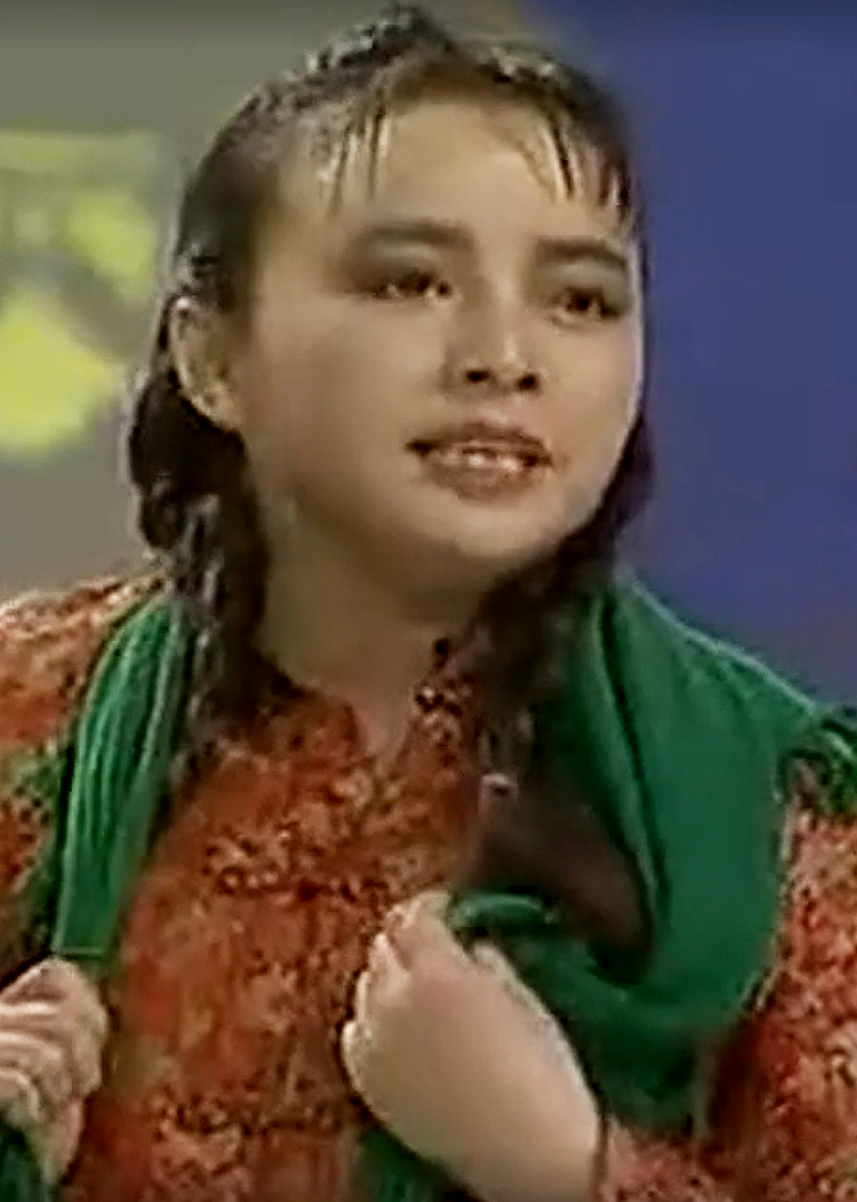 1989央视春晚 海报 高清在线观看