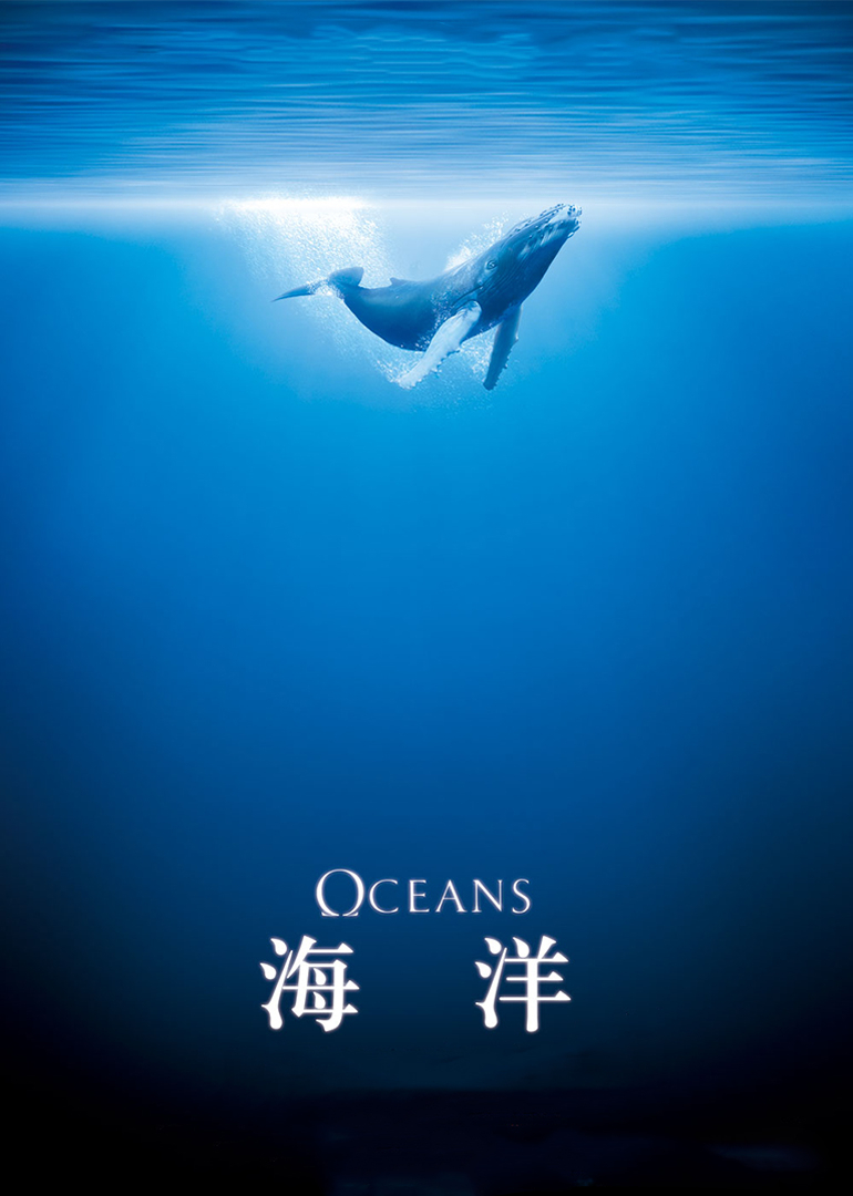 海洋 海报 高清在线观看