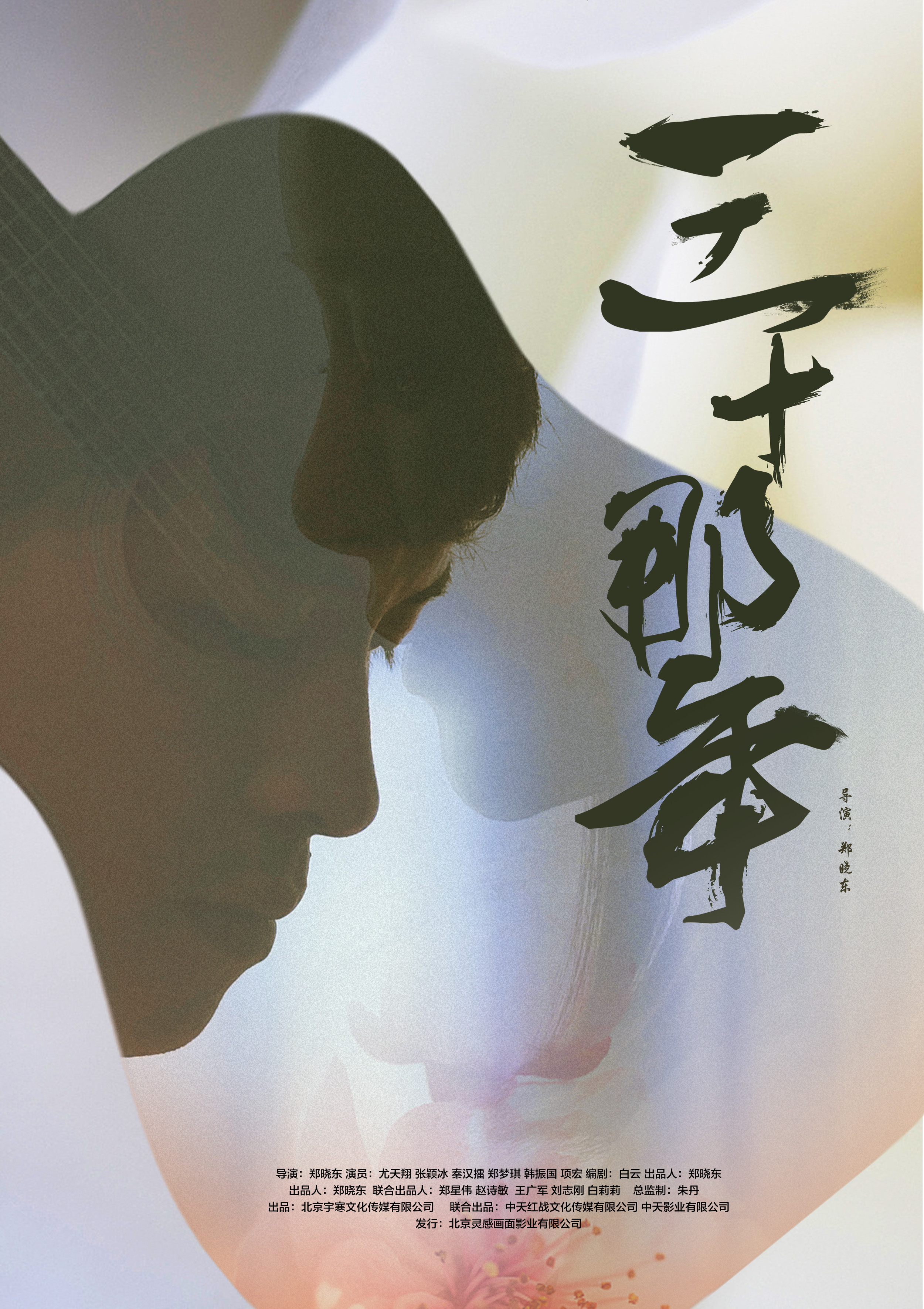 三十那年 海报 高清在线观看
