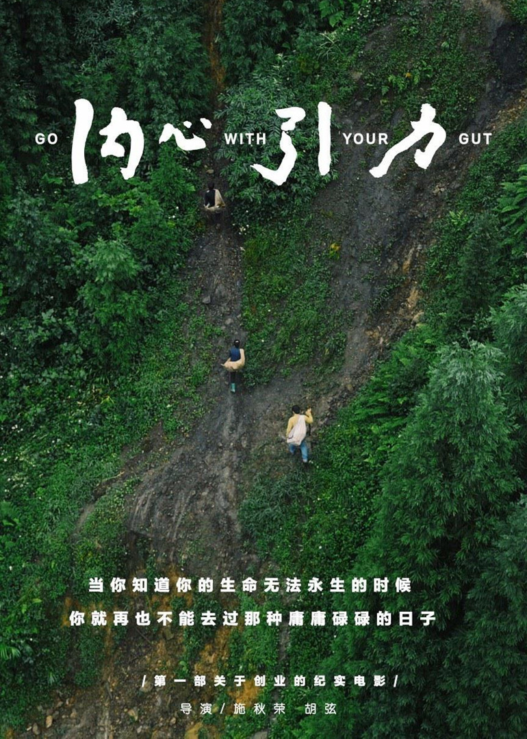 内心引力 海报 高清在线观看