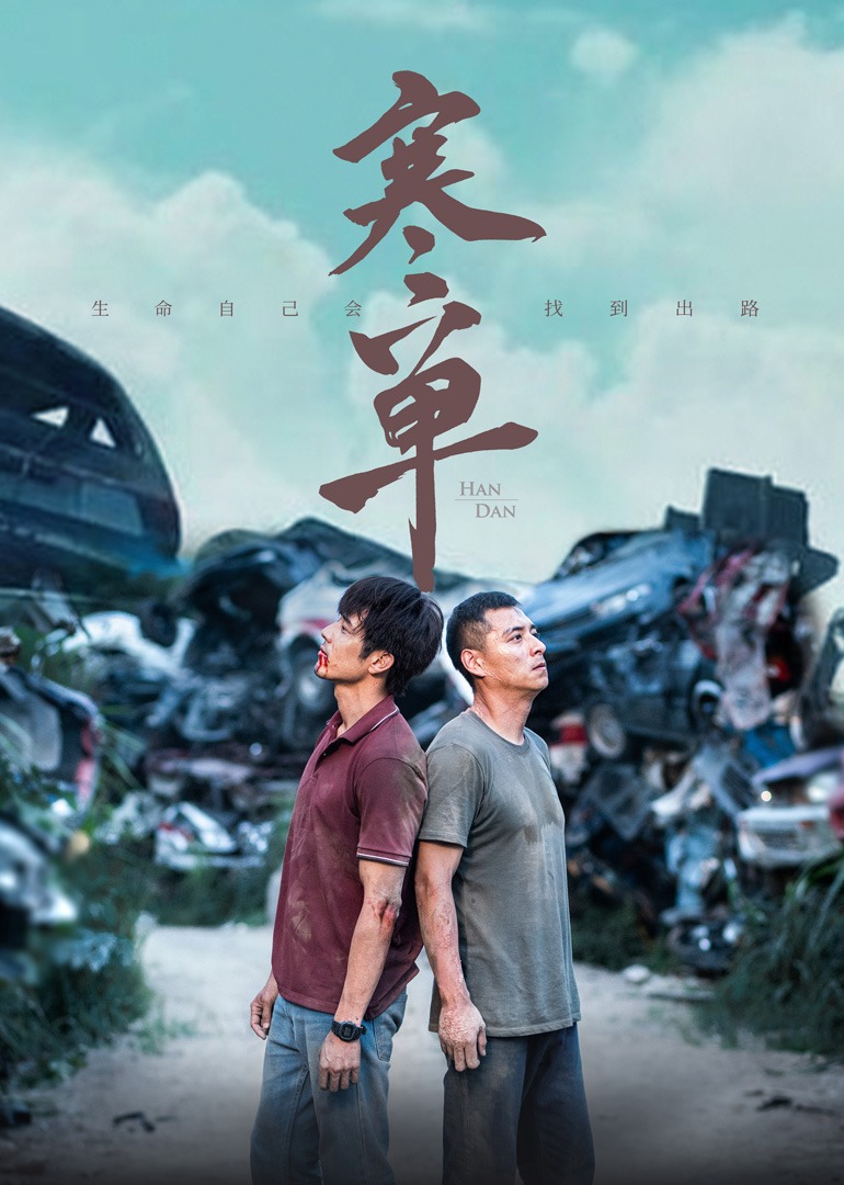寒单 海报 高清在线观看