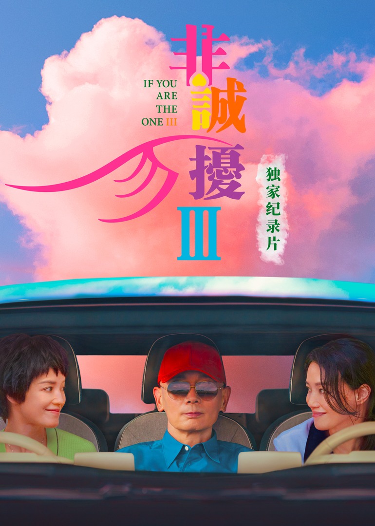 《非诚勿扰3》独家纪录片 海报 高清在线观看