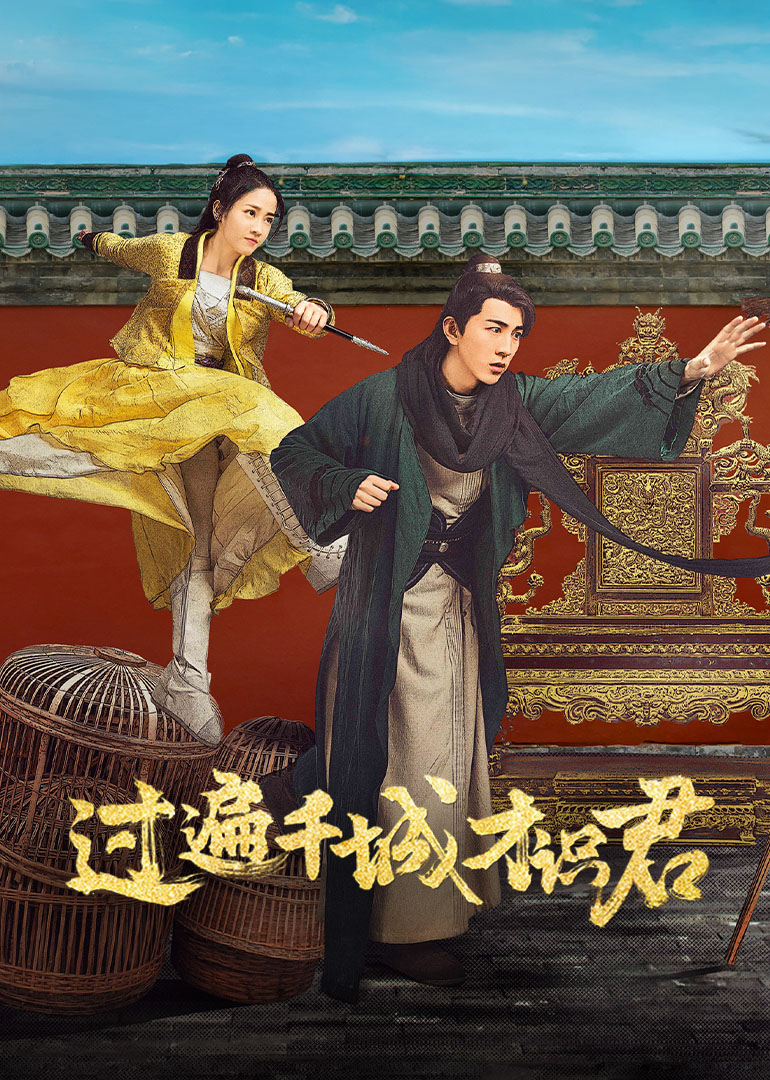 过遍千城才识君 海报 高清在线观看