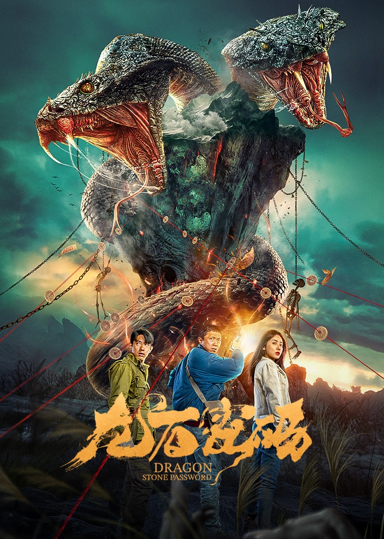 龙石密码 海报 高清在线观看