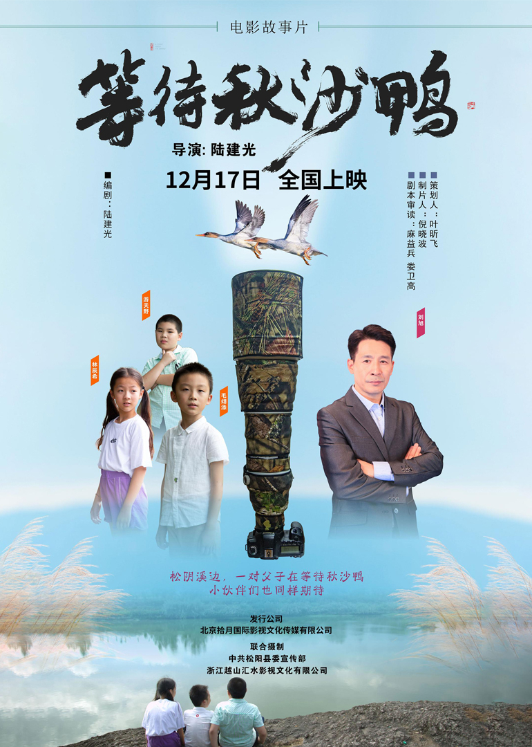 等待秋沙鸭 海报 高清在线观看