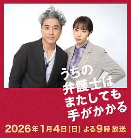 我家的律师又惹麻烦了特别篇 海报 高清在线观看