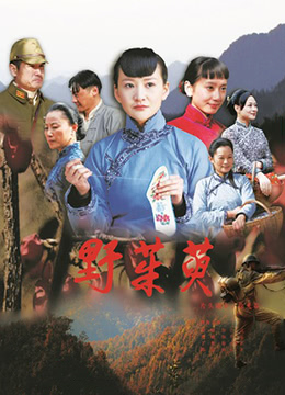野茱萸 海报 高清在线观看