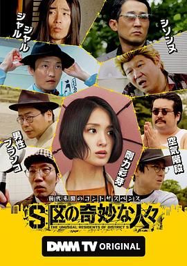 S区的奇妙的人们 海报 高清在线观看