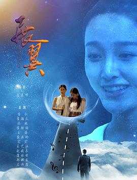 展翼2 海报 高清在线观看