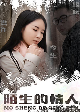 陌生的情人 海报 高清在线观看