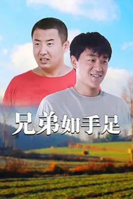 兄弟如手足 海报 高清在线观看