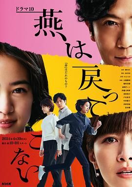 燕子不再归来 海报 高清在线观看