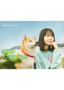 今日份的散步 海报 高清在线观看
