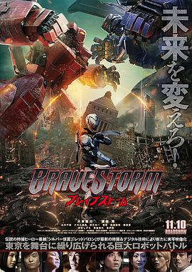 勇敢风暴 海报 高清在线观看