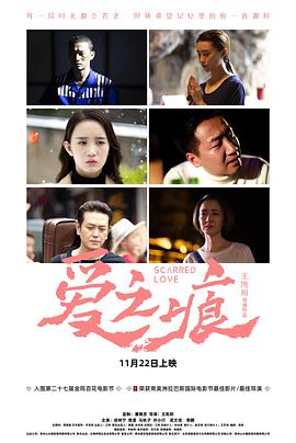 爱·之痕 海报 高清在线观看