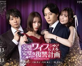 完美妻子的完美复仇计划 海报 高清在线观看