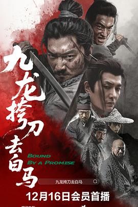九龙挎刀去白马 海报 高清在线观看