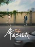 命运方程式 海报 高清在线观看