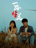一路“生”花 海报 高清在线观看